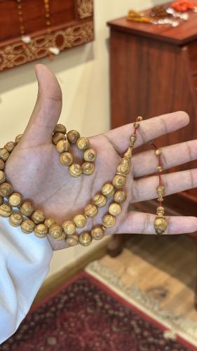 خشب الزيتون 2019