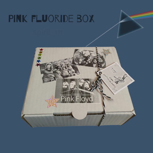 بوكس بينك فلوريد