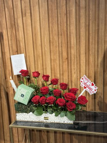ستند كريلك 9264