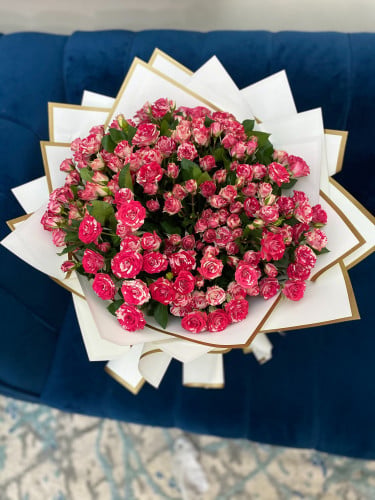 باقه بيبي دبل كلر