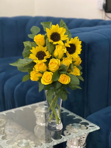 فازه دوار شمس
