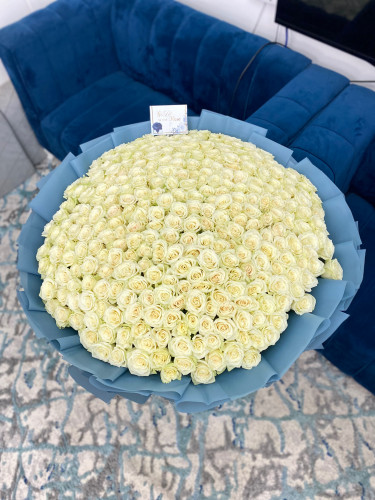 باقه الروح بالحجم كبير