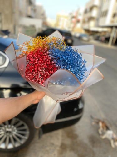باقه جبسو بالاوان رائعه
