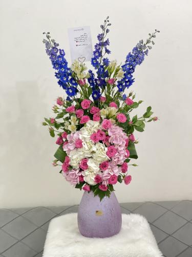 فازة الهدرنجا 7