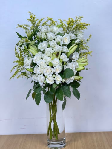 فازه بيبي 005
