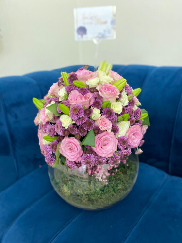 فازه الربيع J9