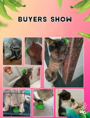 كورة كات نيب قابله للتثبيت للقطط لون عشوائي