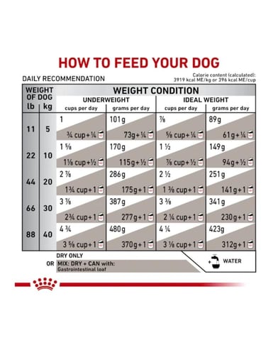 رويال كانين طعام رطب قاسترو انتيستنال للكلاب 200 ج...