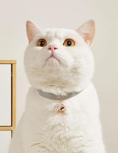 طوق عنق على شكل ورد مع جرس للقطط والكلاب