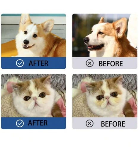 كيم بيتي مناديل لتنظيف الاذن والعيون للقطط والكلاب...