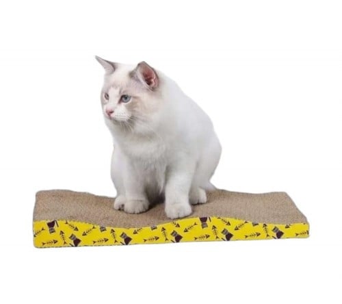 خداشة كرتون برسومات سمكه