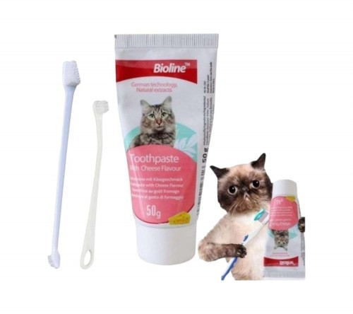 بايولاين معجون مع فرشاة للقطط 50 جم