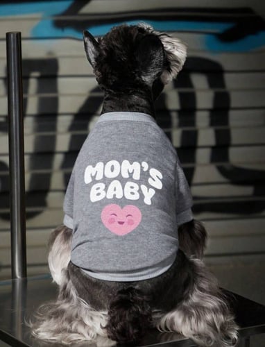 تي شيرت للقطط والكلاب بأحجام مختلفة