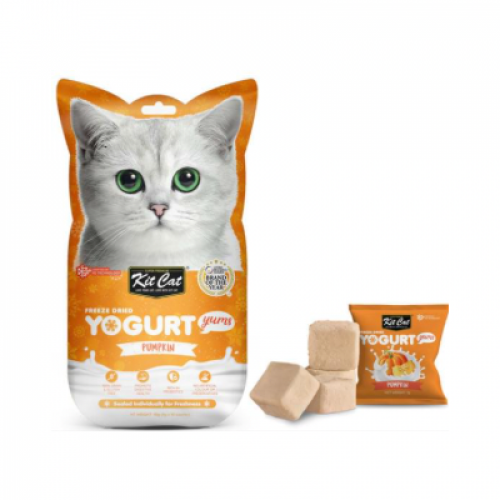 كت كات يوقارت مكافات مجففة للقطط بنكهة يقطين 10غ