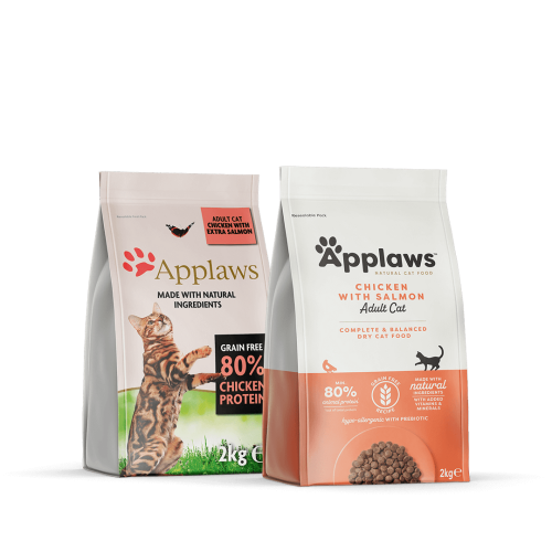 ابلاوز طعام القطط الجاف بالدجاج والسلمون بأحجام مخ...