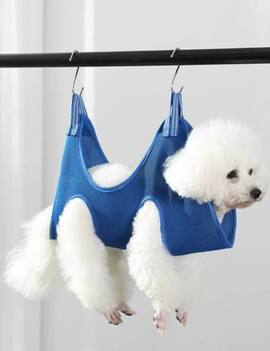 حمالة عناية للقطط والكلاب بمقاسات والوان مختلفة