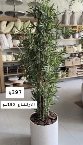 شجرة صناعية بمركن حديد داخل الرياض فقط