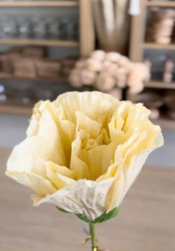 وردة بلون أصفر فاتح