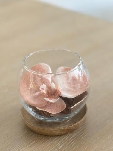 فازة اوركيد