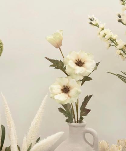 زهرة الخشخاش