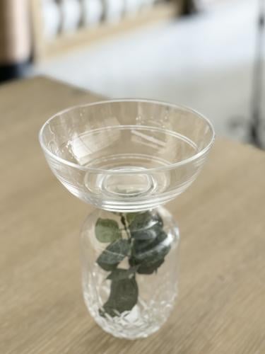 استاند تقديم