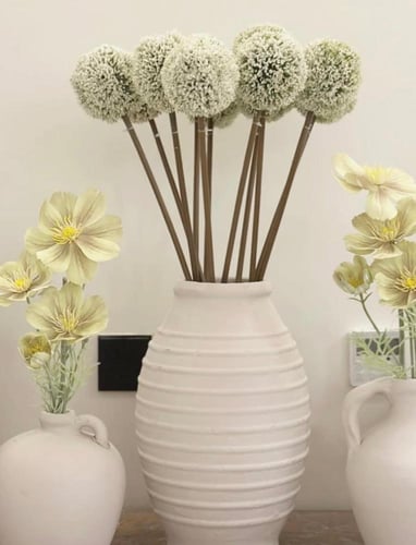 ساق الكراسبيديا