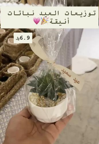 توزيعات العيد نباتات