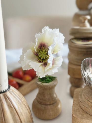 نبتة شقائق النعمان