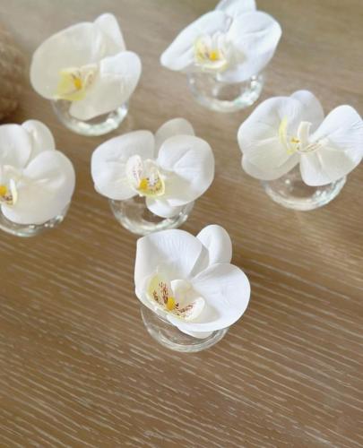 مزهرية اوركيد صغير
