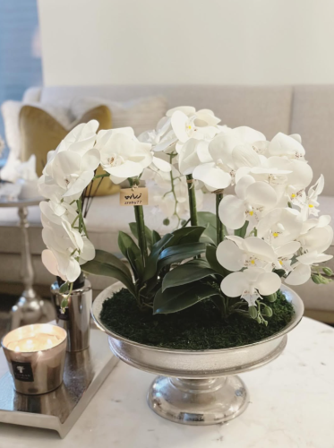 تنسيق اوركيد