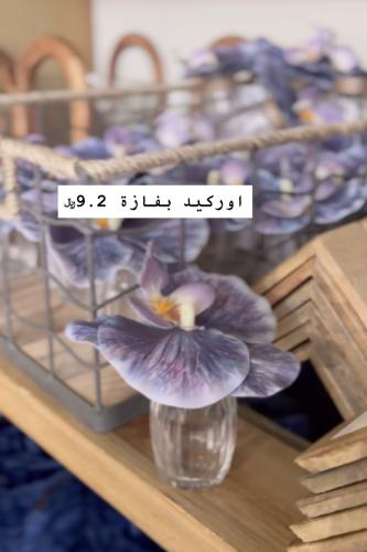 اوركيد بفازة