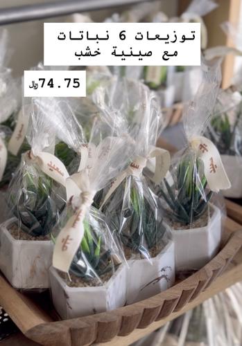 توزيعات 6 نباتات مع صينية خشب