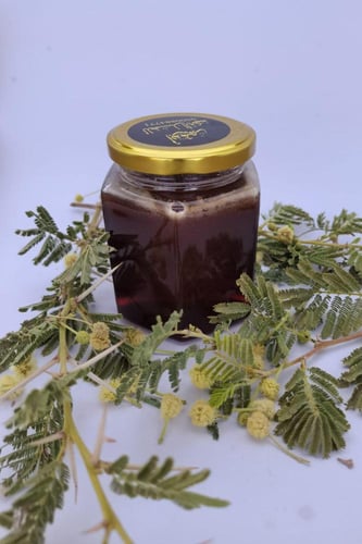 عسل طلح نجدي 1447