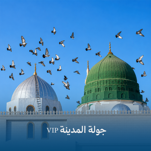 Madinah VIP tour — premium vehicle with guide