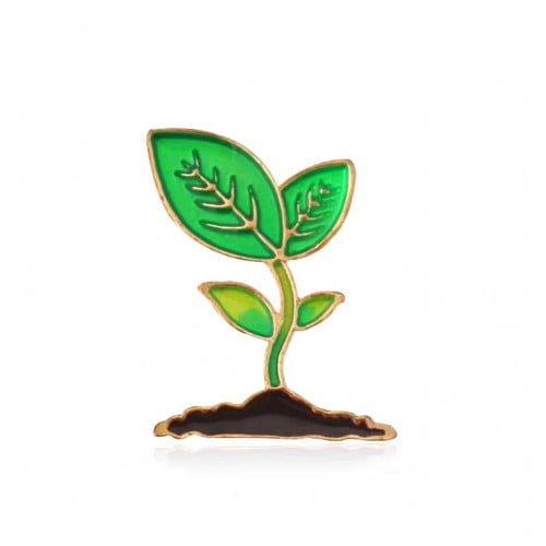 بروش ( دبوس ) نبتة