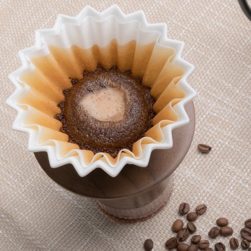 فلتر V01 لترشيح قهوة استخدام واحد