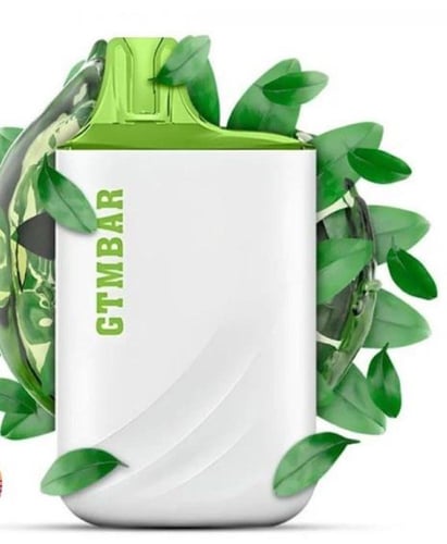 سحبة جي تي ام 5000 شفطة - GTM Bar Porter 5000 puff