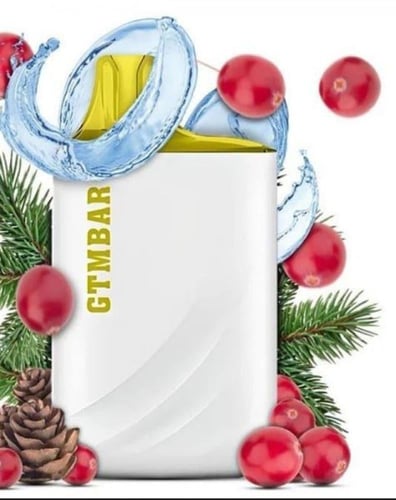 سحبة جي تي ام 5000 شفطة - GTM Bar Porter 5000 puff