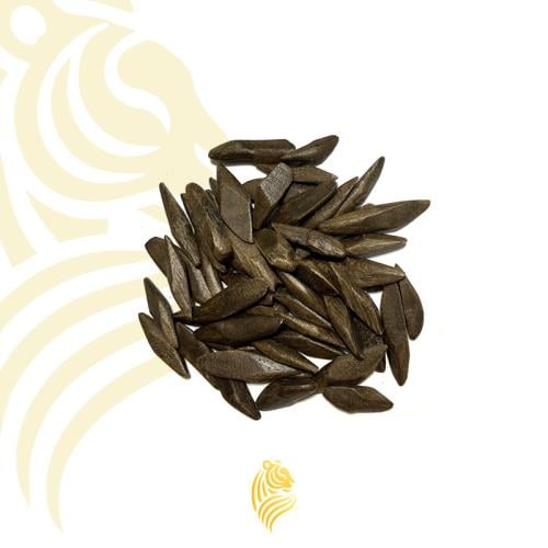 عود نجد أوقية