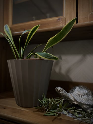 إناء للزراعة حجم متوسط بشكل مميز عدد (2)