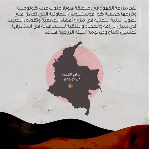 بيت التحميص | كولومبيا اغوستينو فوريست 227 غرام