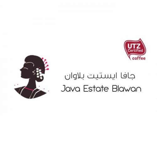 جافا ايستيت بلاوان 227غرام