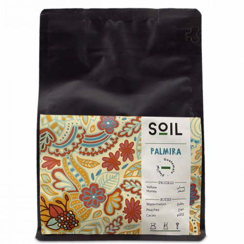 بالميرا PALMIRA