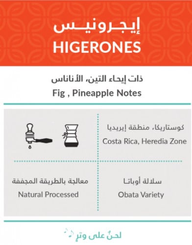 كفة | إيجرونيس250غرام