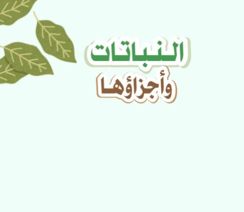 مطوية النباتات واجزاؤها | pdf