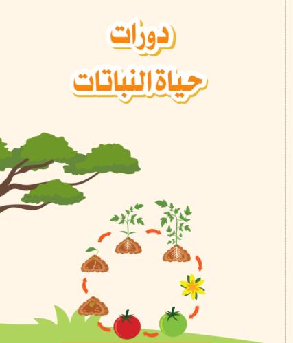 مطوية دورات حياة النباتات | pdf