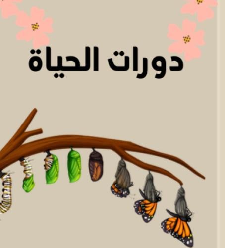 مطوية دورات الحياة | pdf