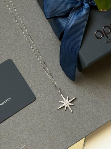 سلسال APM فضي