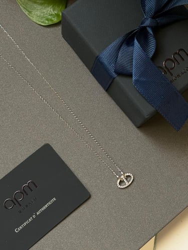 سلسال APM فضي