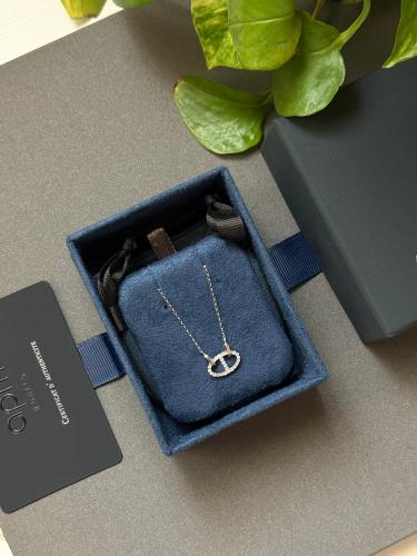 سلسال APM فضي